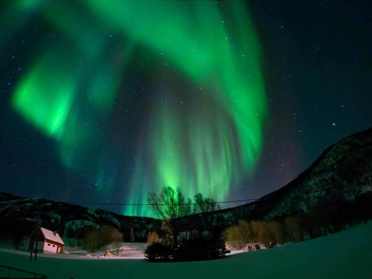 Unique And Charming With Fantastic Sea Views Ferienhaus Tromsø