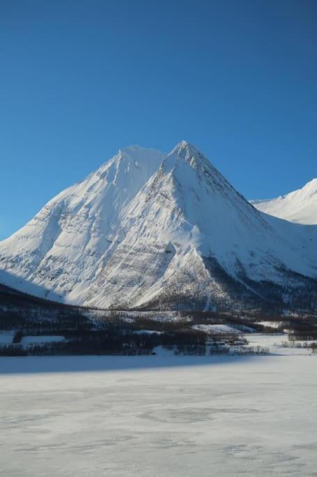 New Magnificent View Near The Centre Tromsø