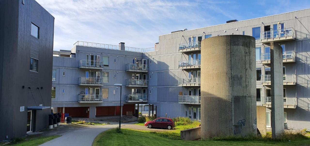 Northern Dreams With Free Parking Apartment Tromso
