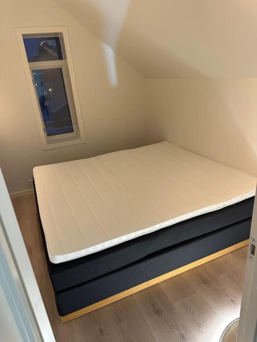 I Hjertet Av Nordens Paris. Tromso
