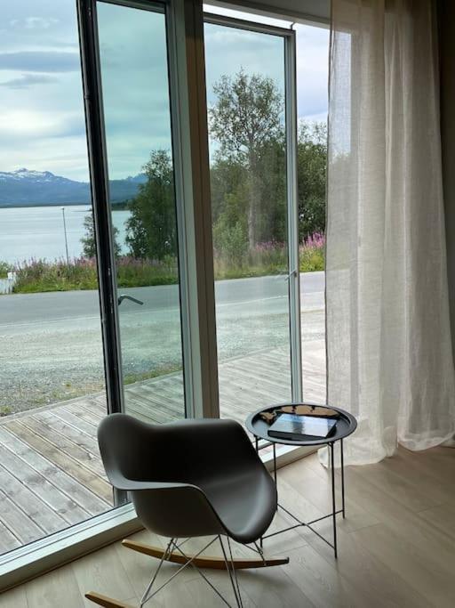 Northern Light Tromso