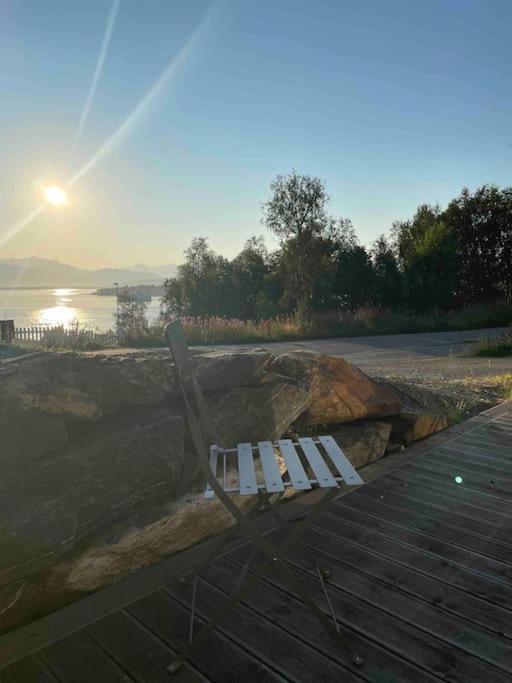 Northern Light Tromso