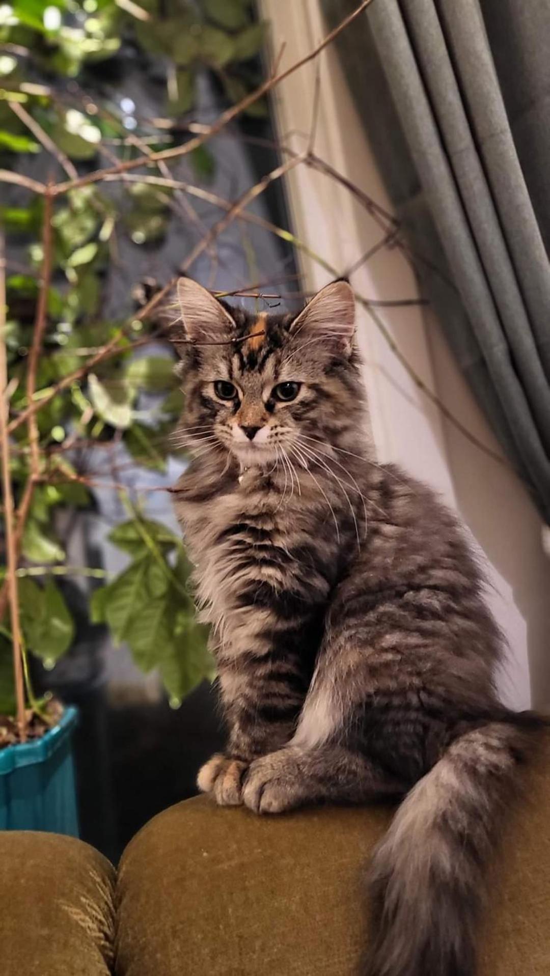 Boukersen Heim Séjour chez l'habitant