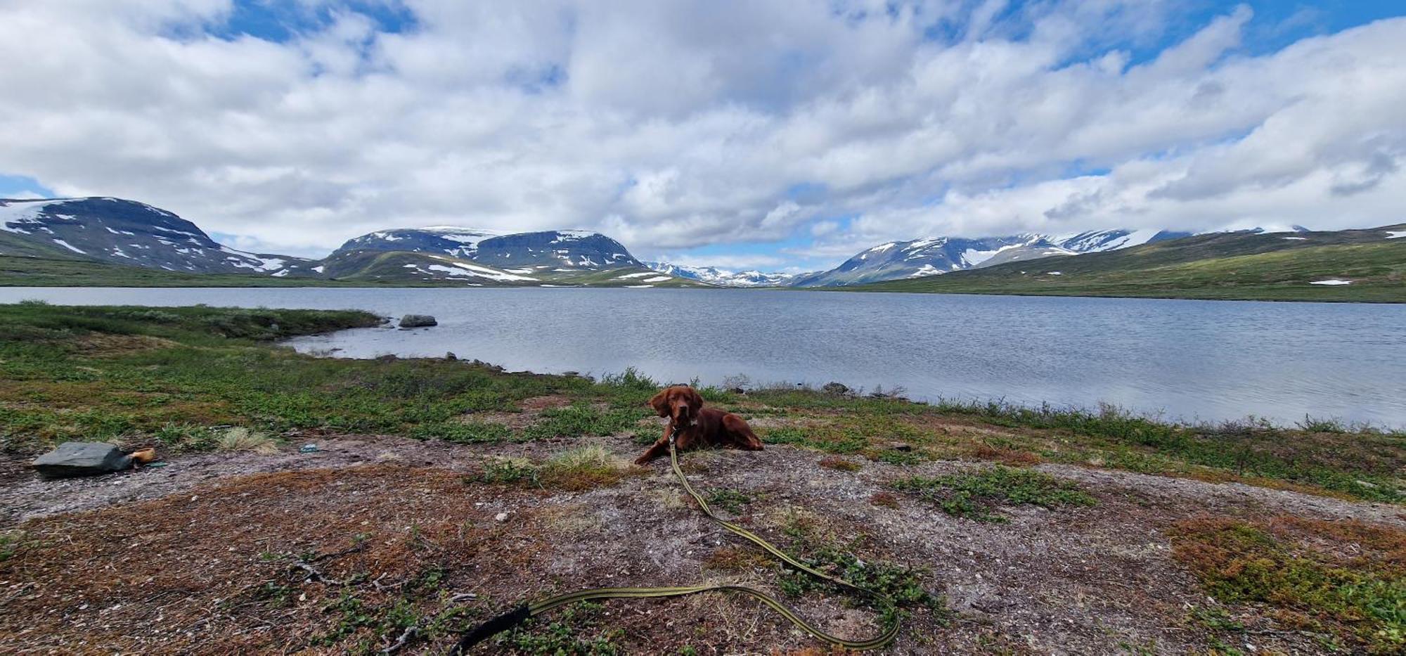 A Modern In Nature's Embrace * Tromso