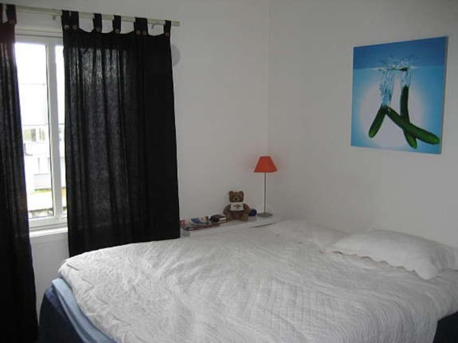 2 Bedroom Luxury Seafront, Free Pick Up! Apartment *