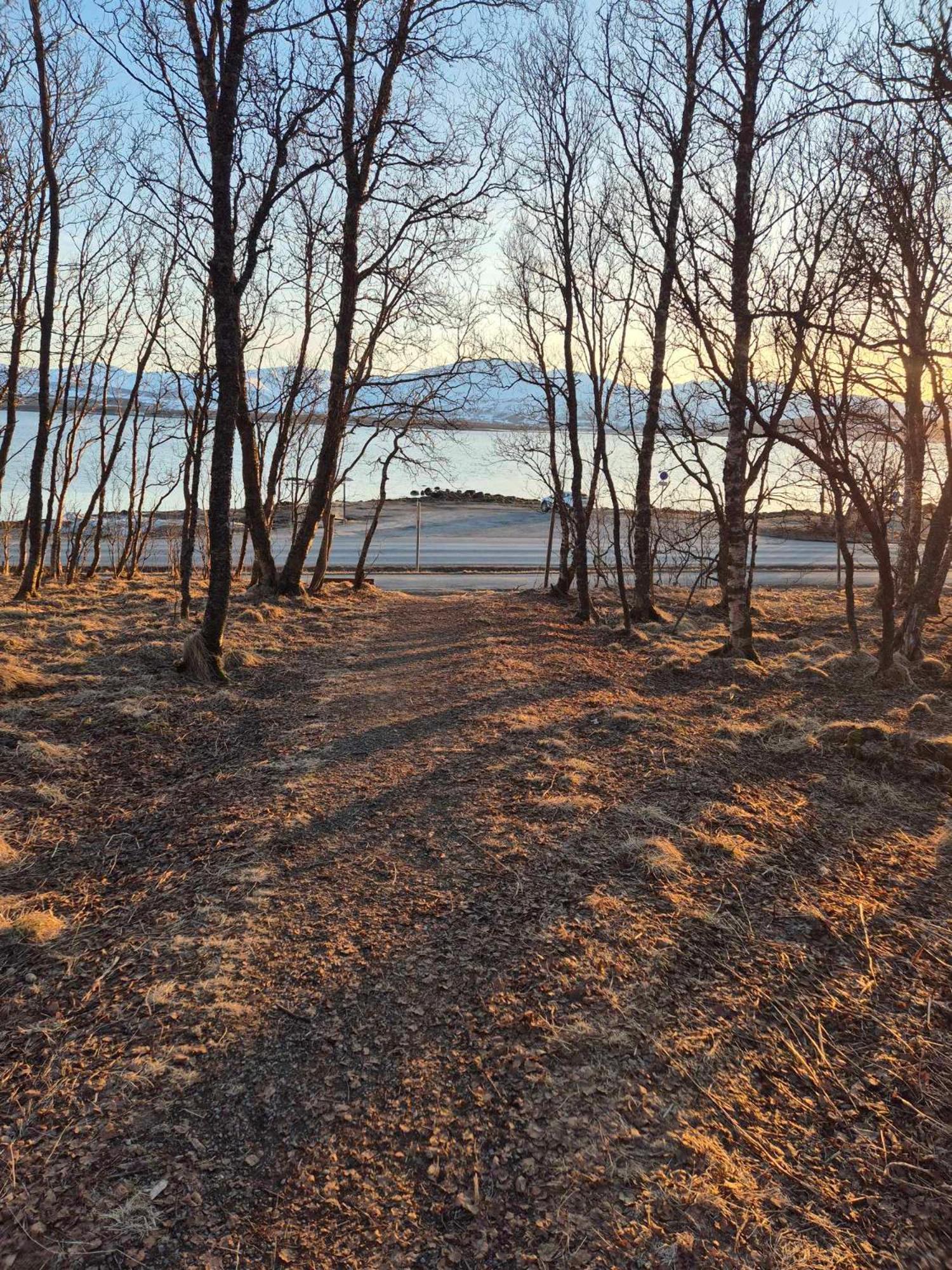 Appartement Yggdrasil Sea View Tromsø