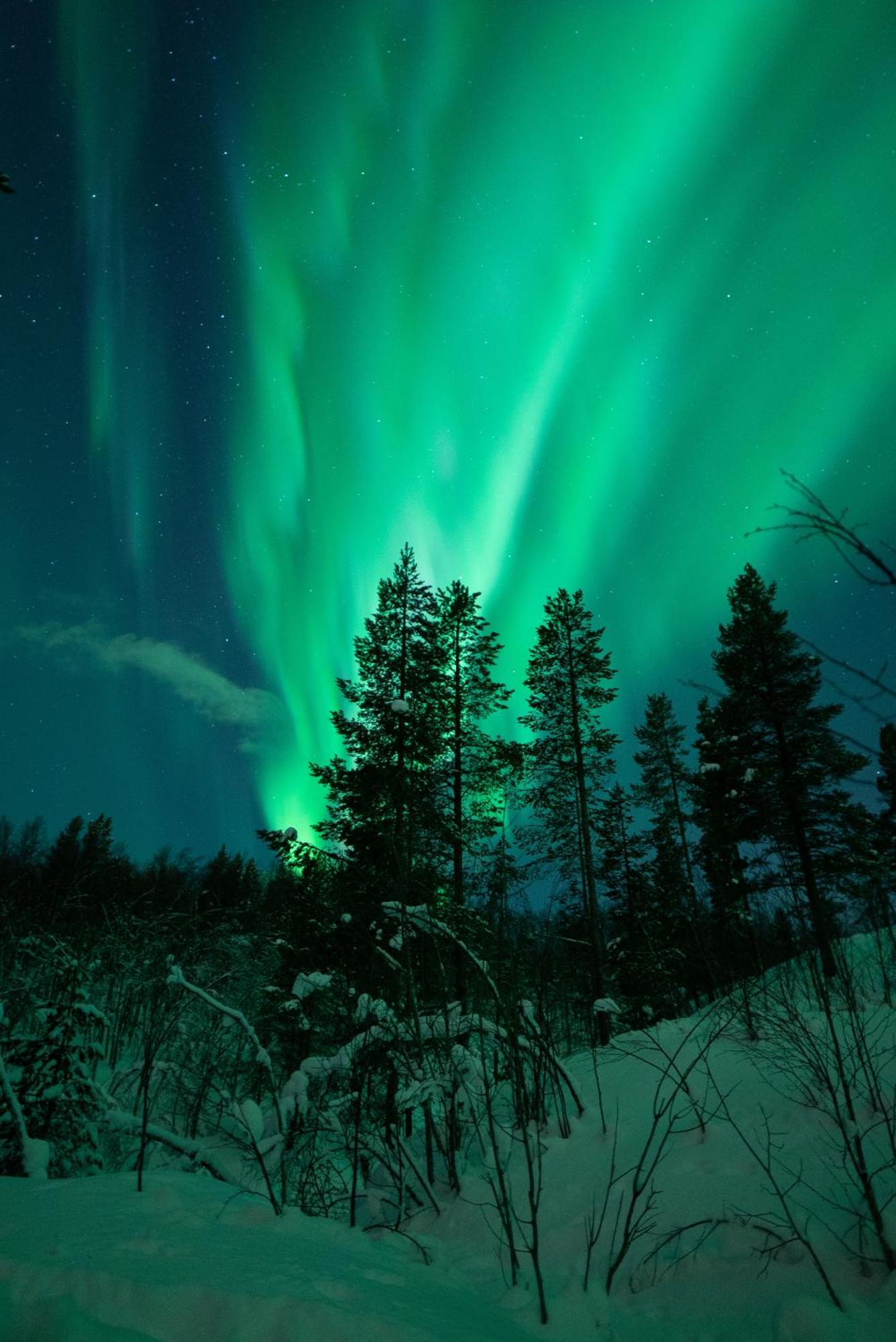 In Outdoor Paradise Near Tromso