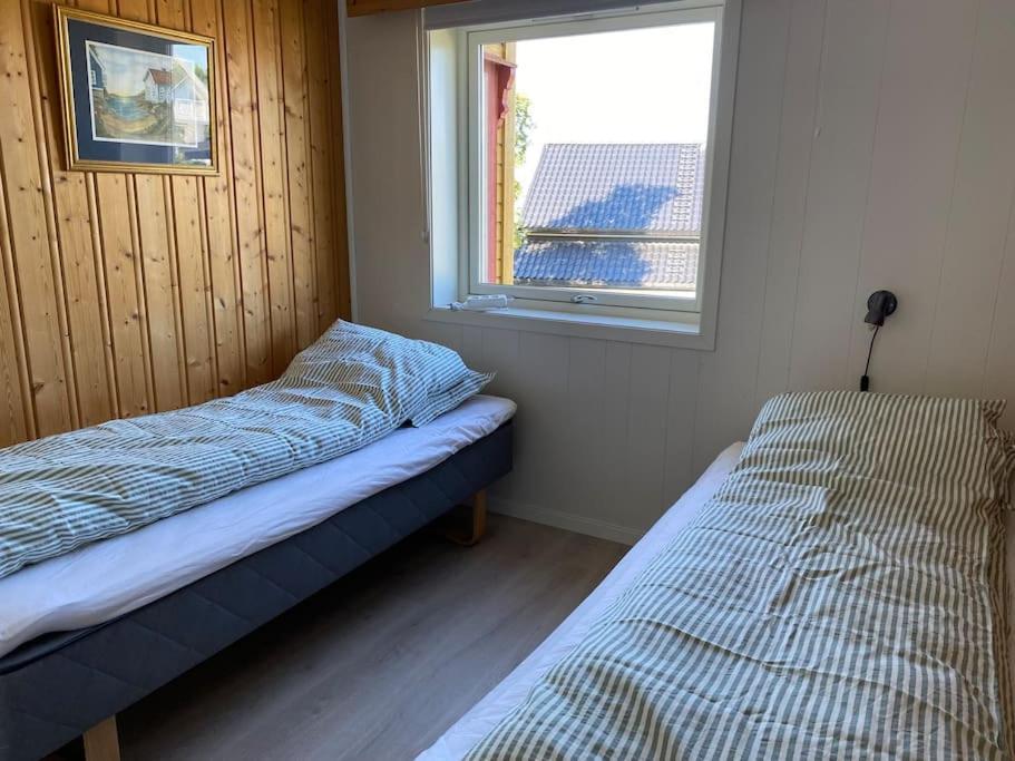 Fantastic With Fjellheisen As Your Nearest Neighbor Apartment