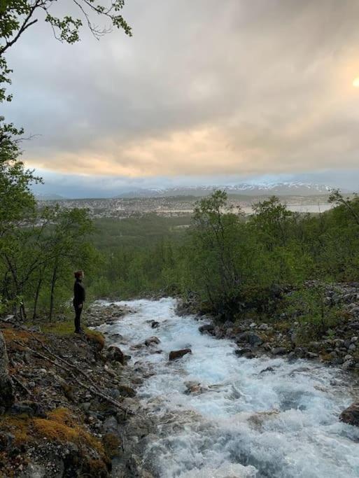 Fantastic With Fjellheisen As Your Nearest Neighbor Tromso