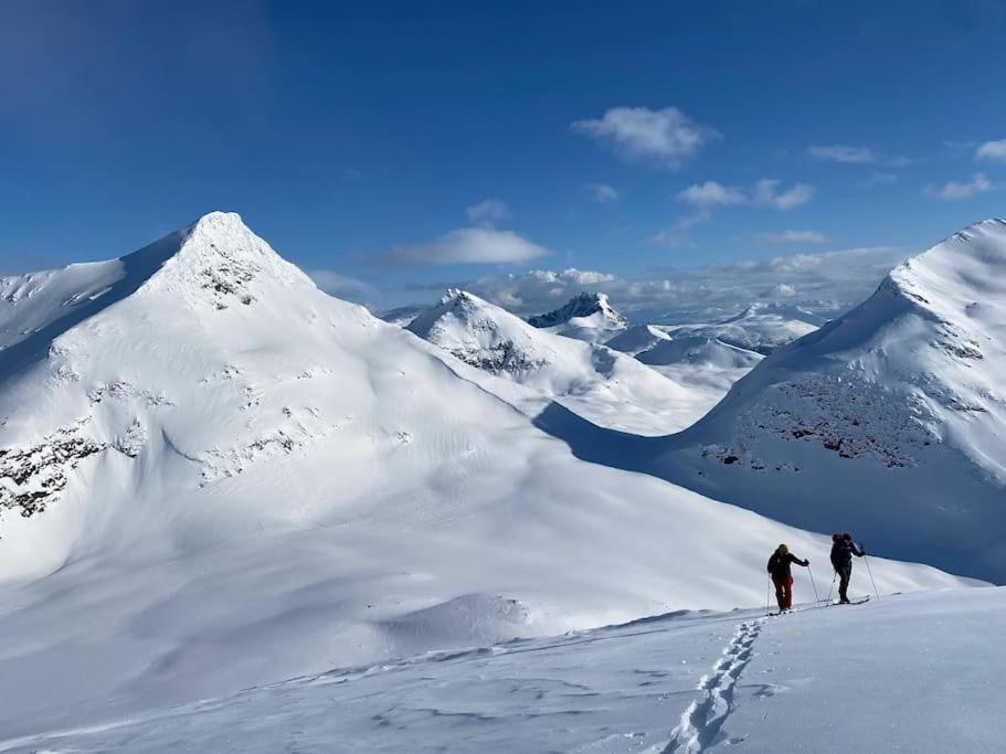 Fantastic With Fjellheisen As Your Nearest Neighbor *
