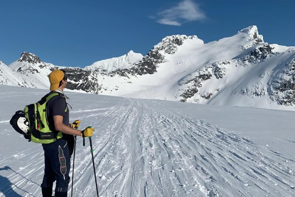 Fantastic With Fjellheisen As Your Nearest Neighbor *