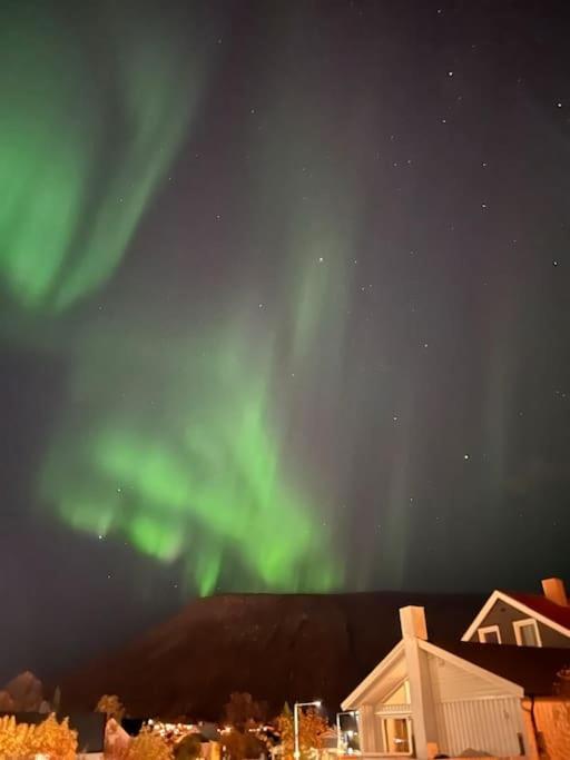 Fantastic With Fjellheisen As Your Nearest Neighbor Apartment *