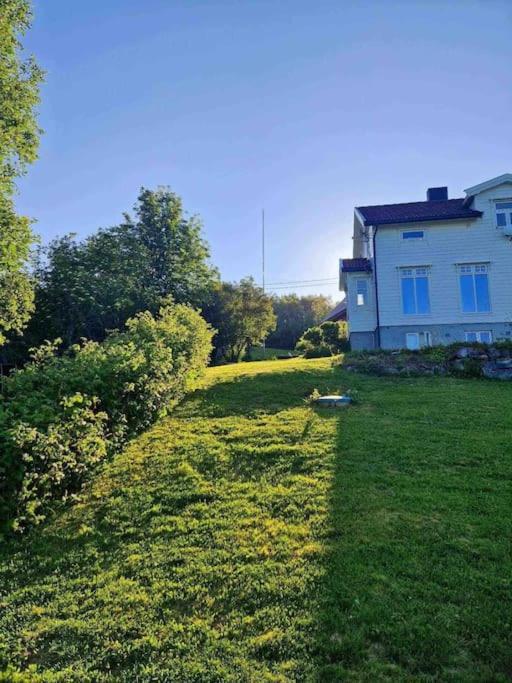 Kraemarvika *