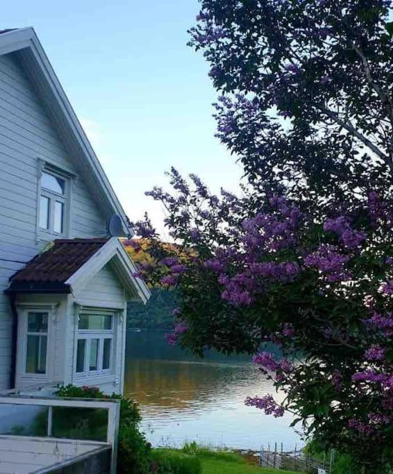 Kraemarvika Holiday home Tromso