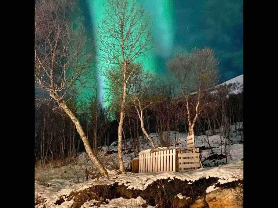 Cosy - Balcony With Aurora View Apartment