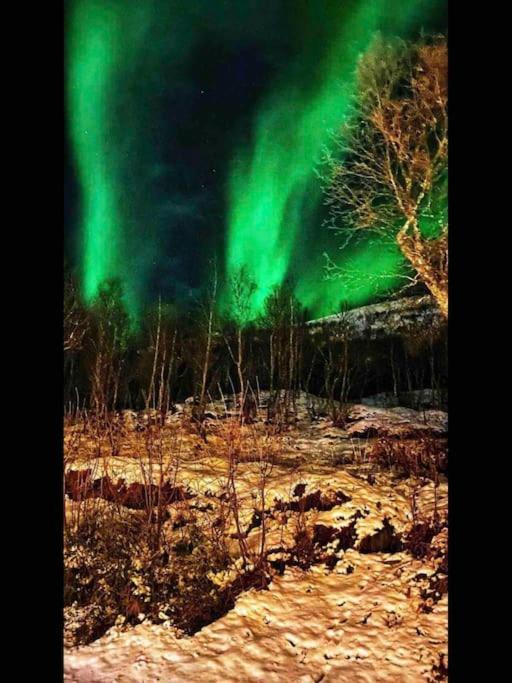 Apartment Cosy - Balcony With Aurora View Tromso