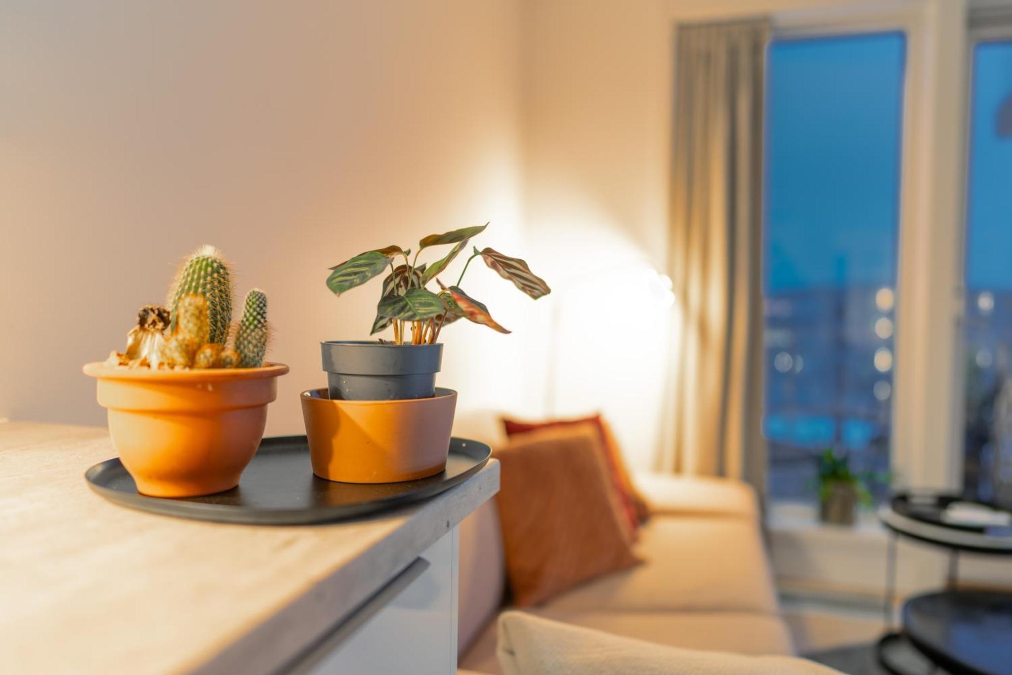 Northern Light - Skir Ocean View Appartement