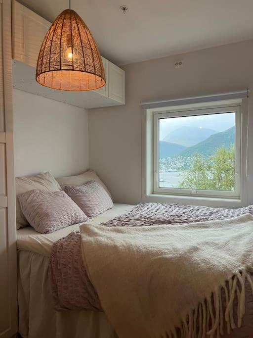 En Koselig Og Sentral Apartment