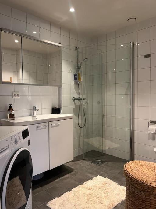 En Koselig Og Sentral Apartment