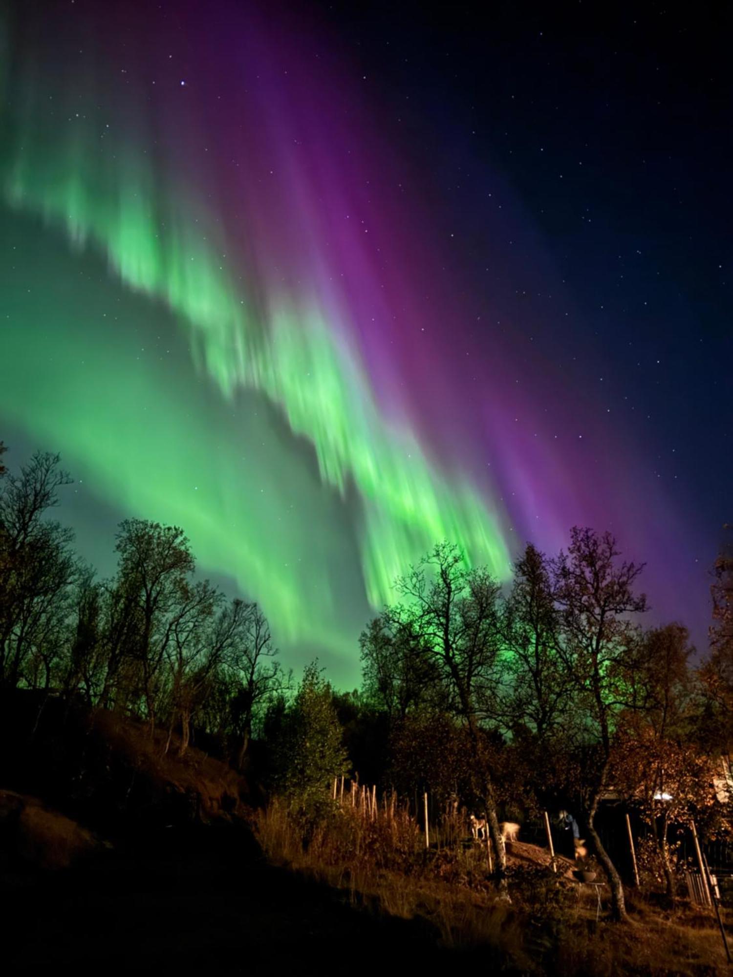 Leilighet Håkøya Tromsø