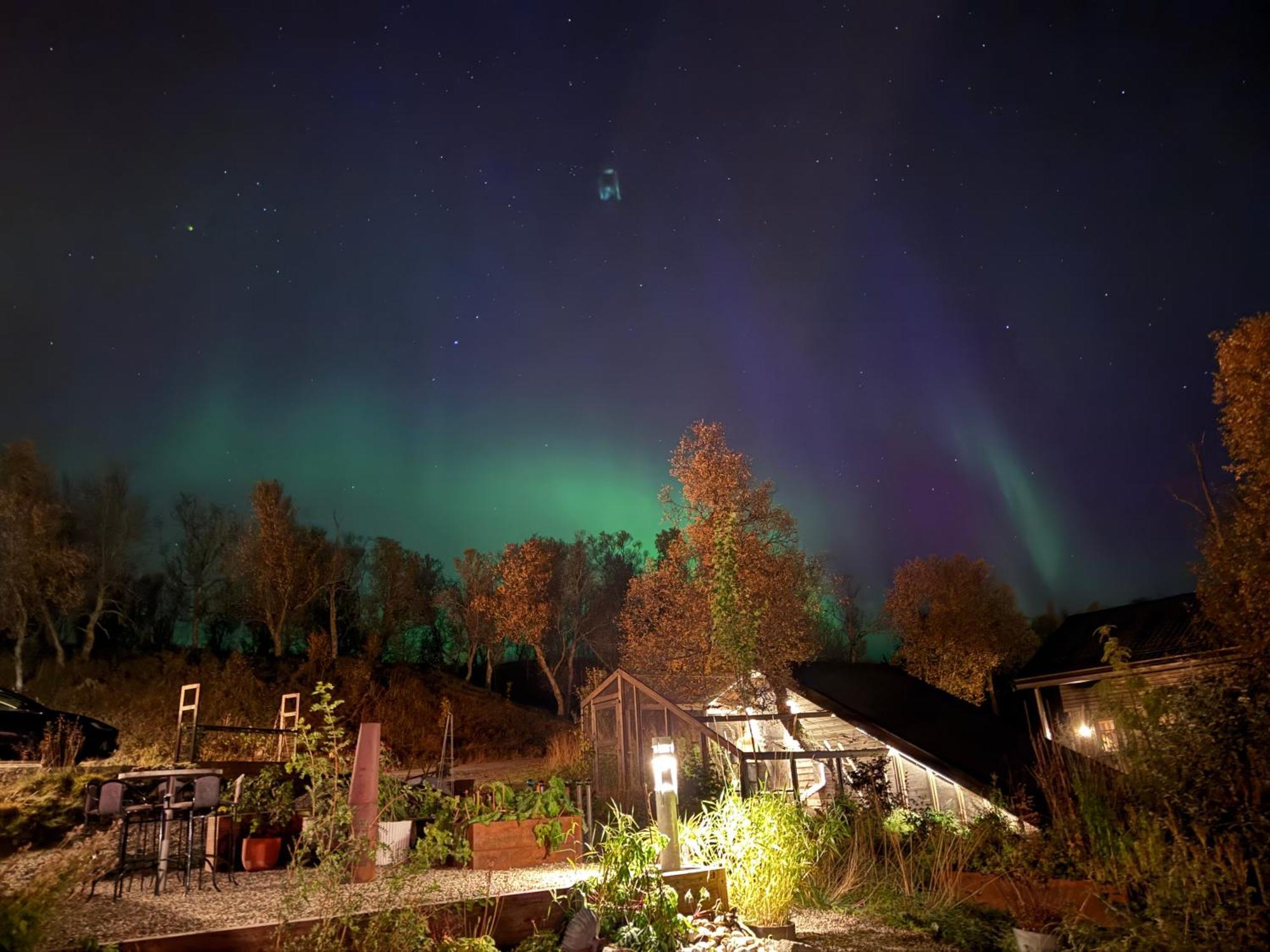 Håkøya