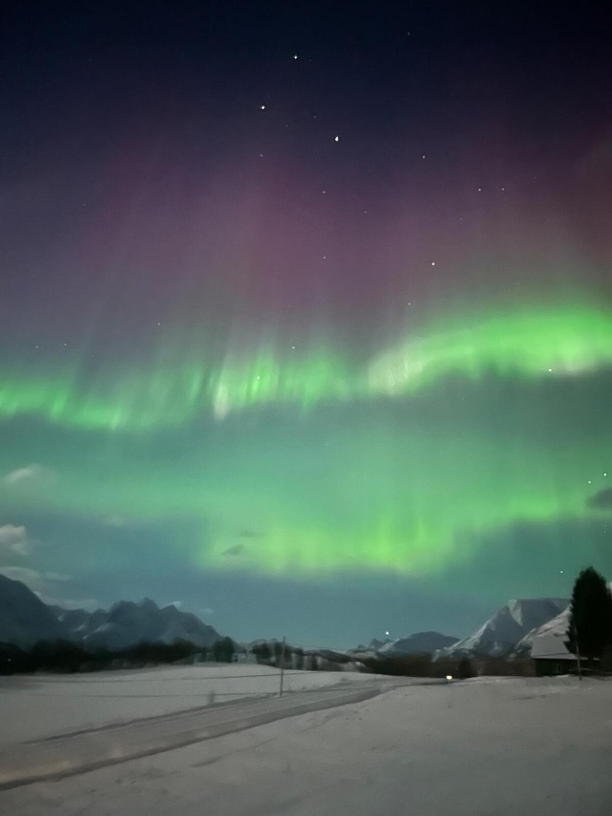Aurora House Under The Mountain *