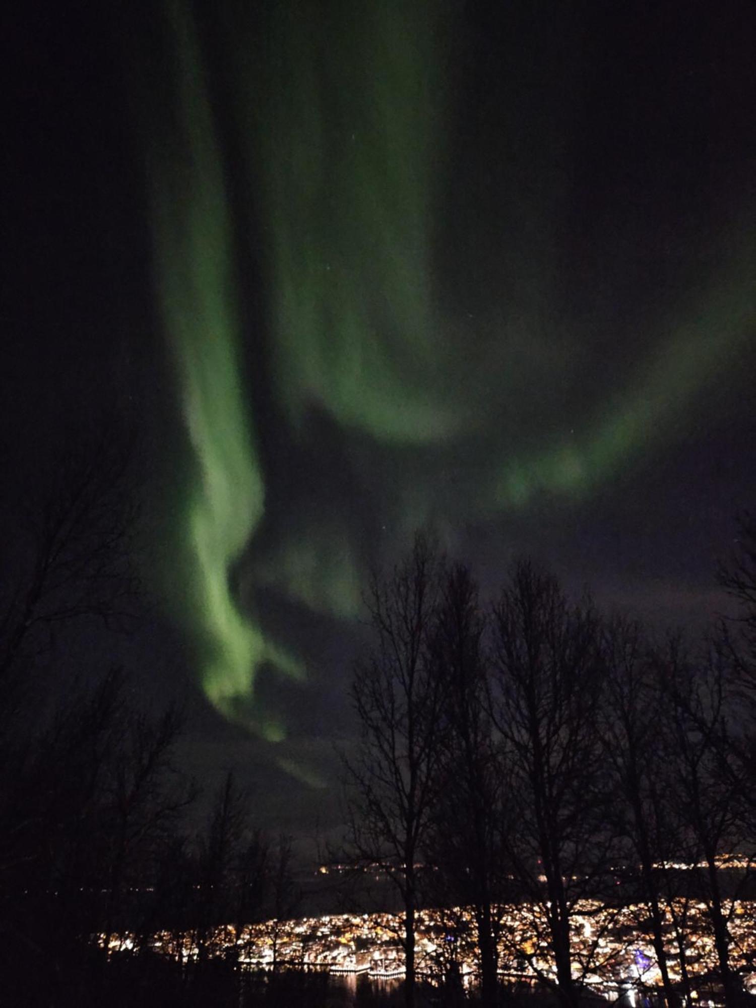 In Tromso, Located Between The Arctic Cathedral And The Cable Car * Tromsø