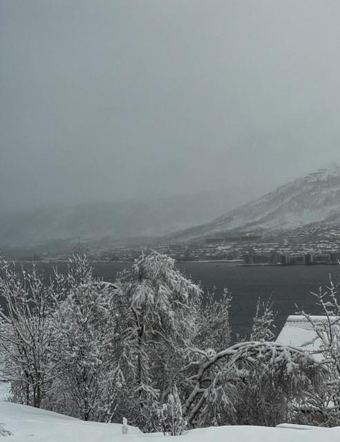 Leilighet With A View